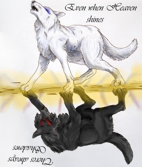 Wolf Reverse Split A wolf split between by pikachoo08 on DeviantArt