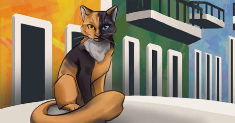 Commission: Old San Juan Cat