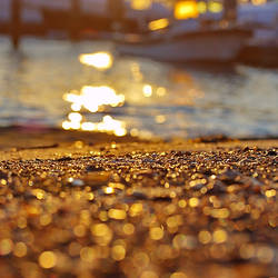 Golden bokeh by the sea