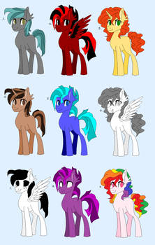 1 point Stallion adopts