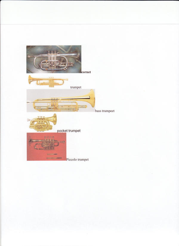 types of trumpet by lightingblade on DeviantArt