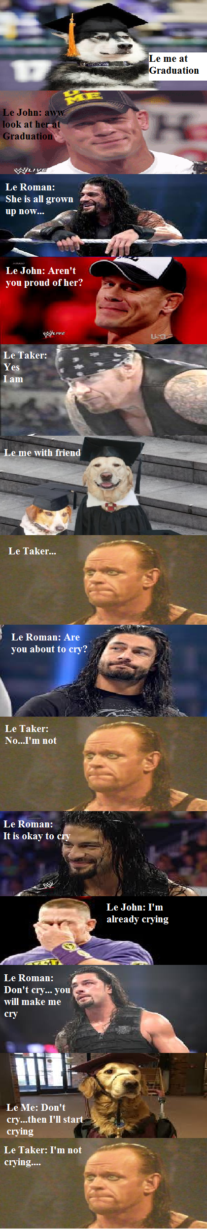 wwe meme: Le me story 88