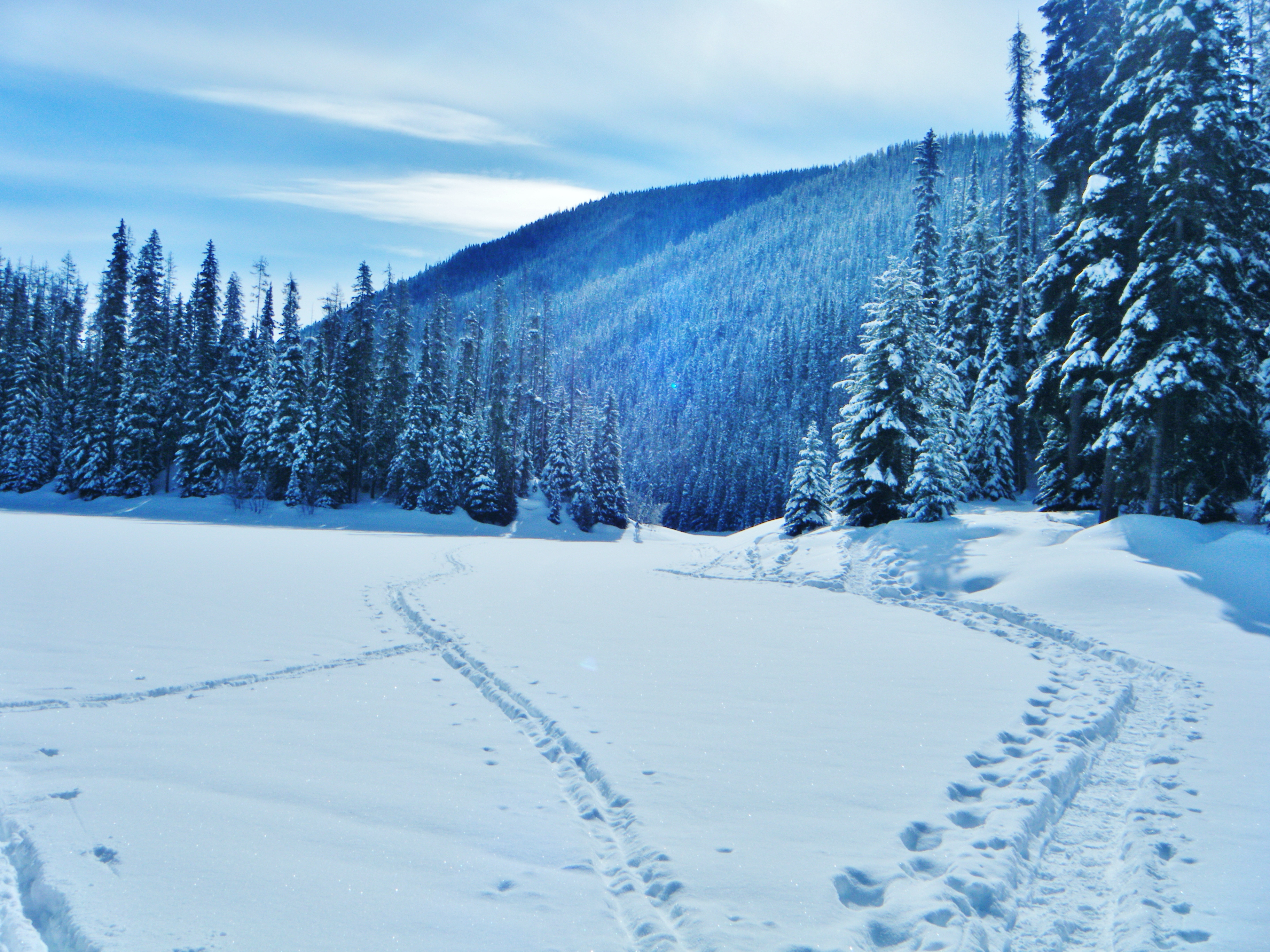 Manning Park