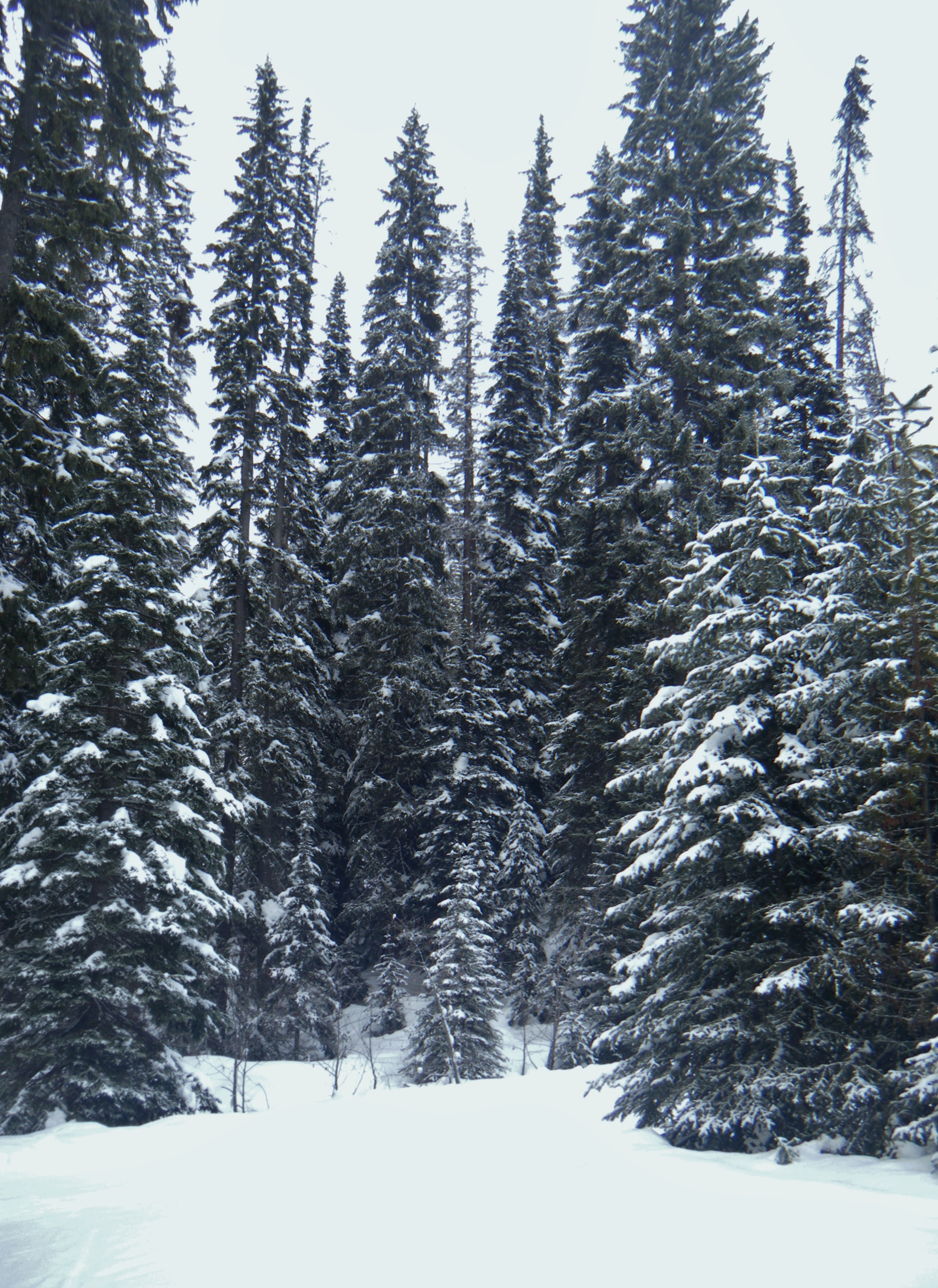 Manning Park