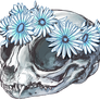 kitten skull + flowers