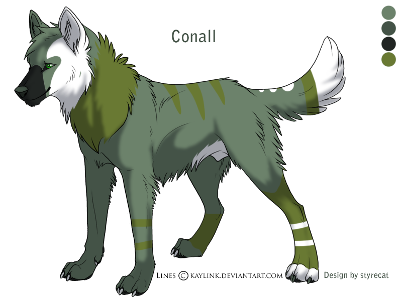 Conall Contest Design