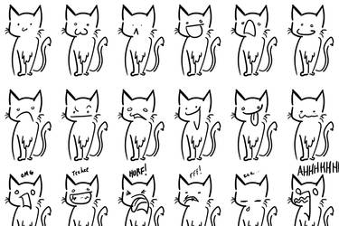 Cat Expressions