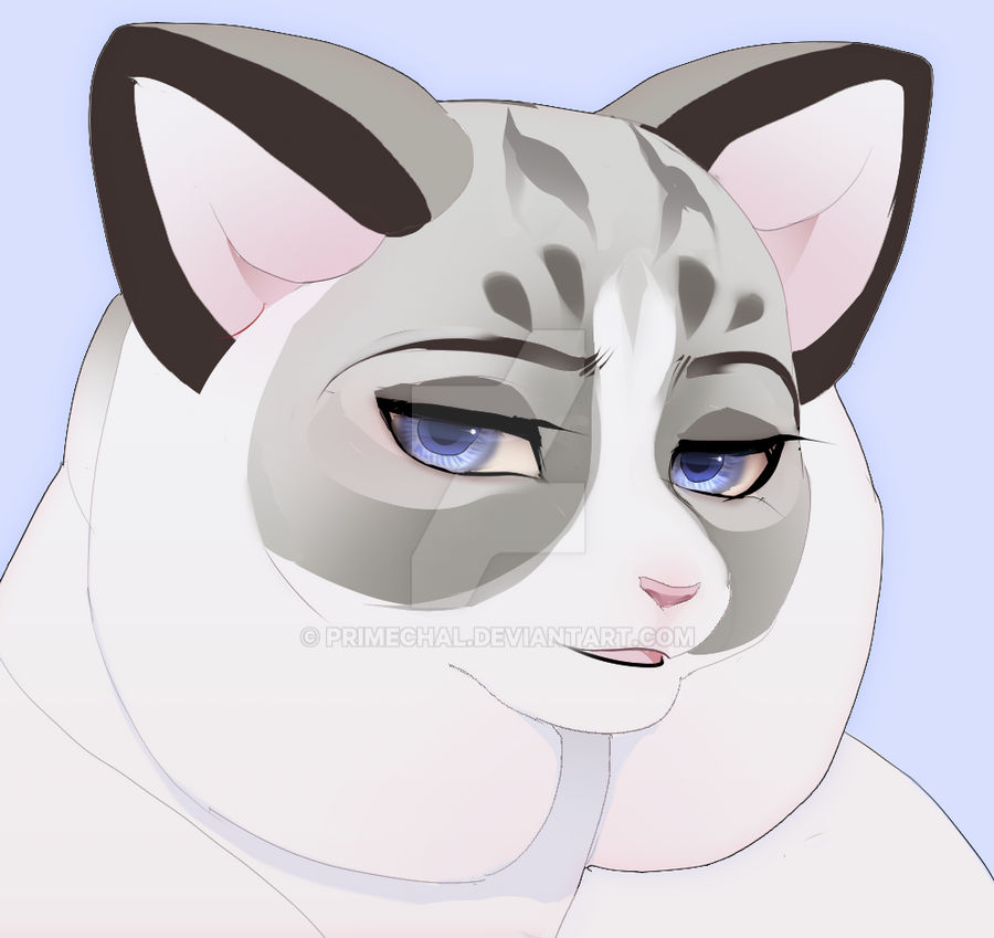Pretty Kitty by PRIMECHAL on DeviantArt