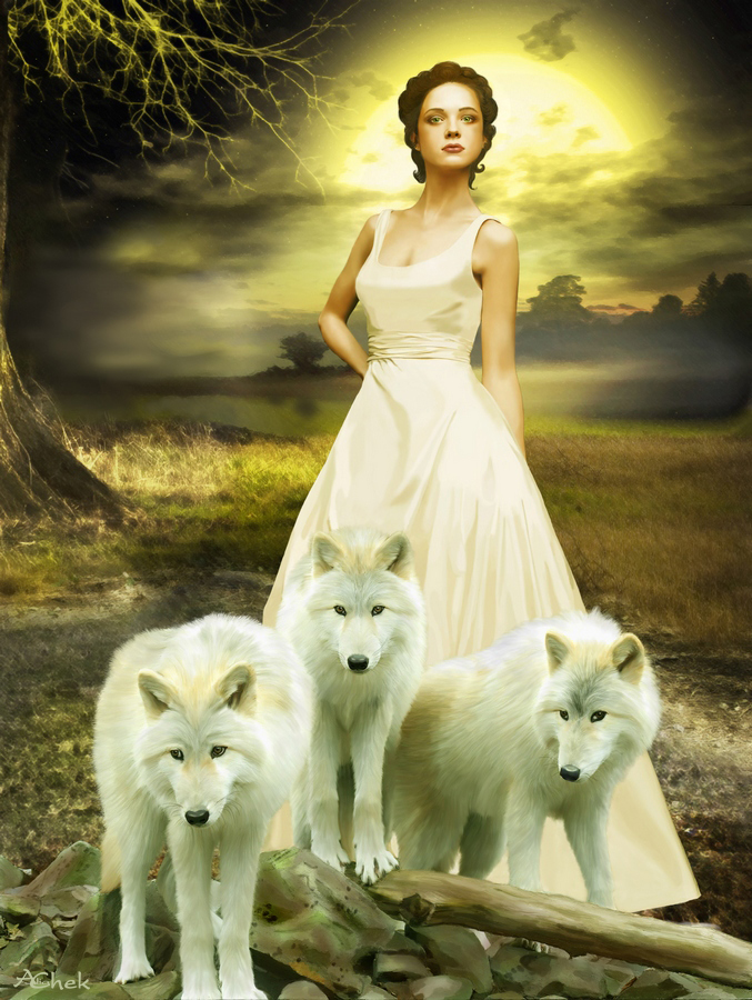 She-wolf by AliaChek on DeviantArt