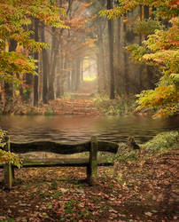 Autumn by the River