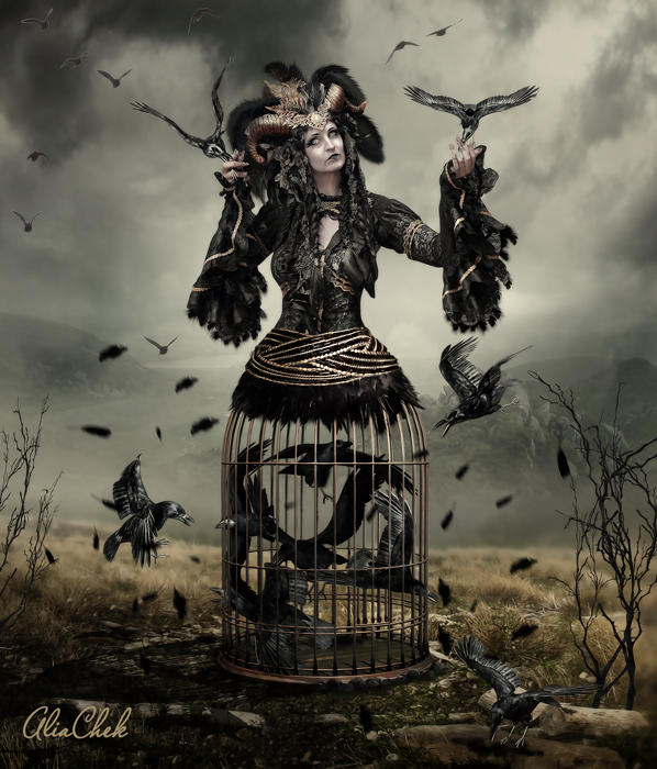 Birdcatcher by AliaChek Birdcatcher by AliaChek