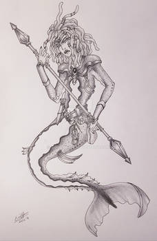 Mermaid warrior