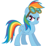 Rainbow Dash With Goggles