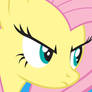 Fluttershy Evil Stare II Wallpaper