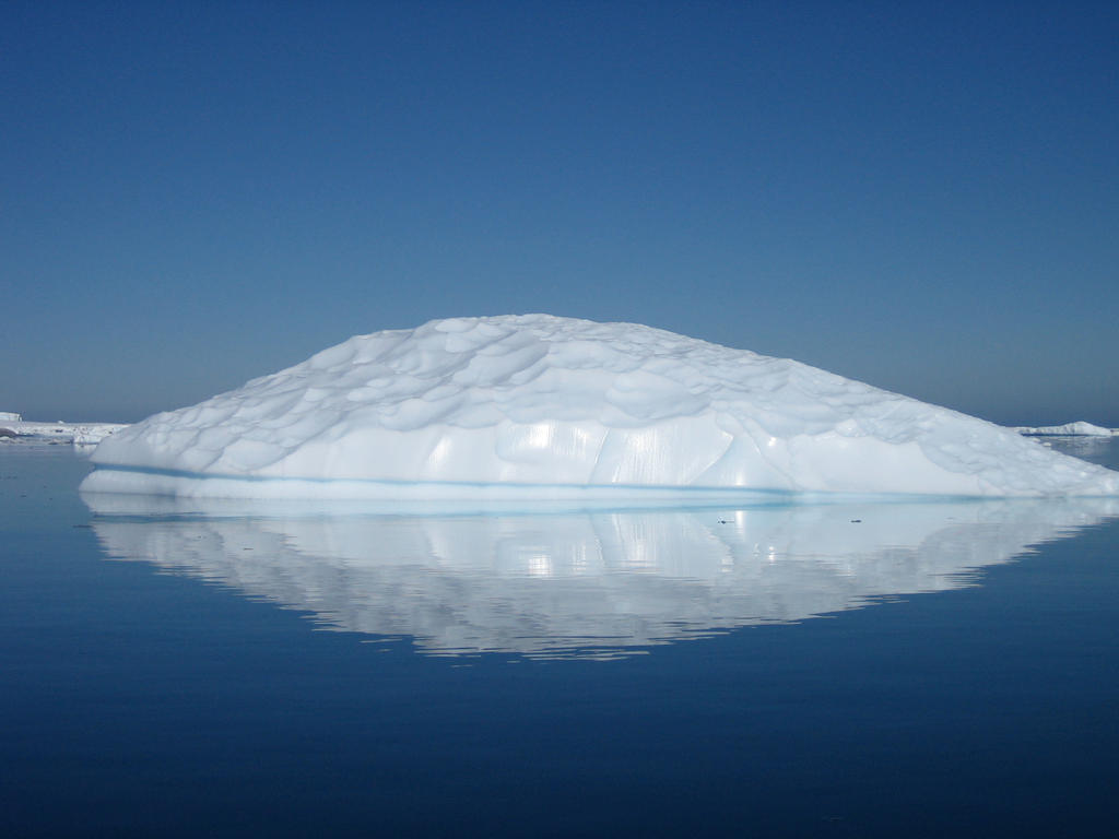Ice Dragon Turtle Shell by Martinfishdaddy on DeviantArt