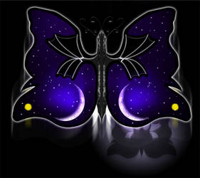 Night Butterfly