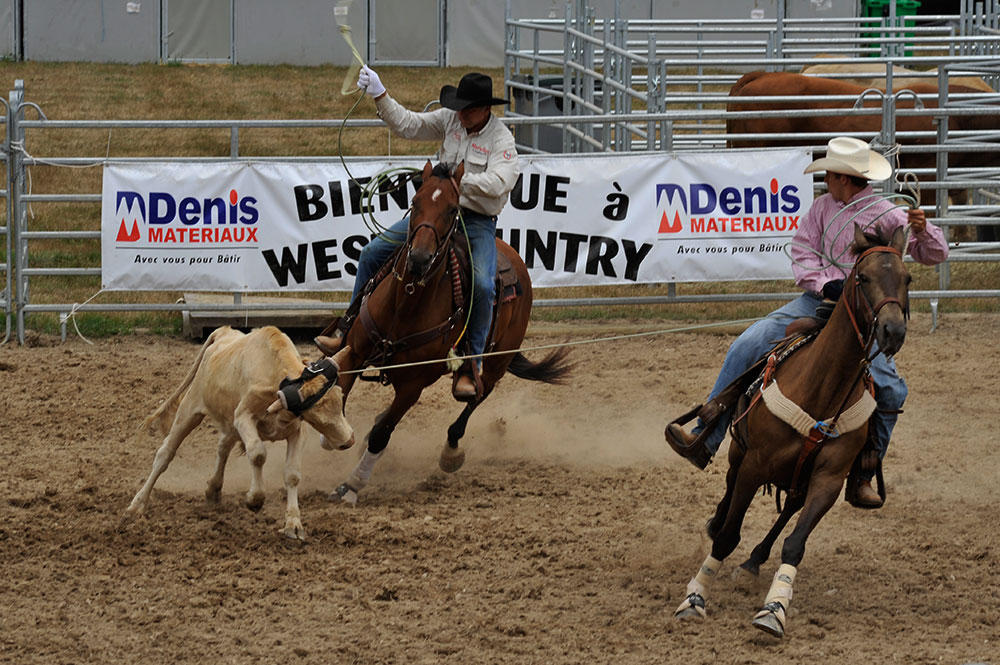 Team roping by MissUmlaut on DeviantArt