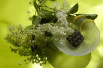 numero 23: Fleurs de sureau by MissUmlaut