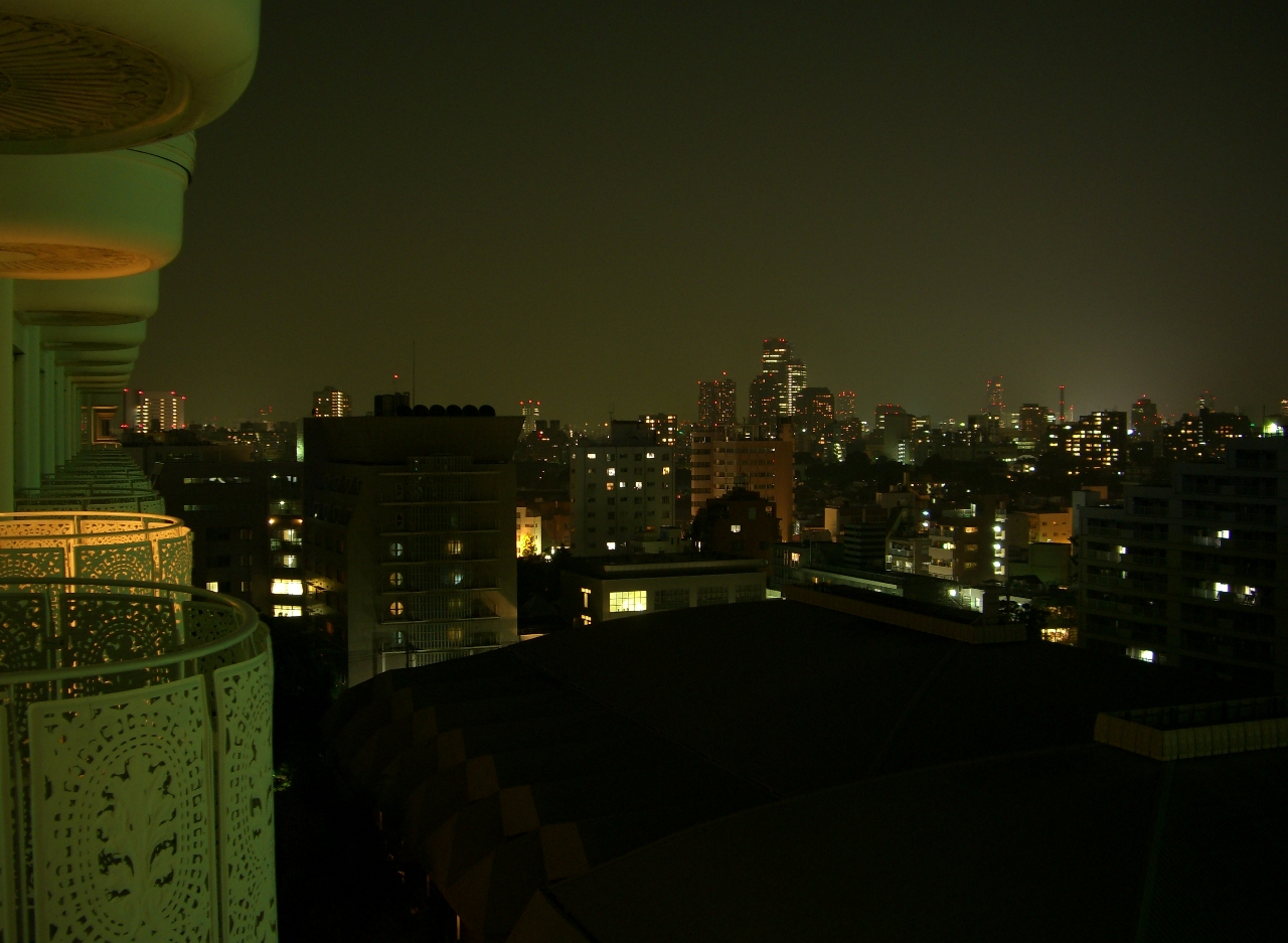 Tokyo at Night - Hotel Shot