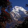 Dhaulagiri