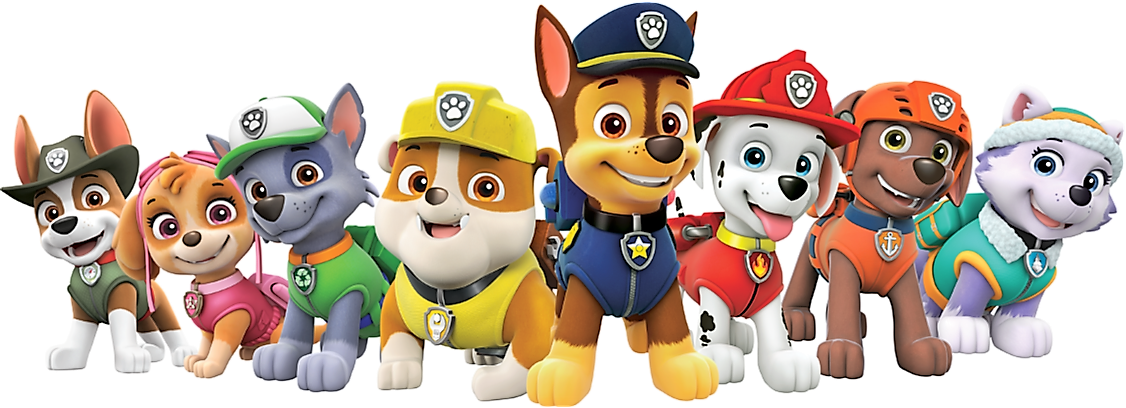 All about best sale pups