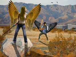 Maximum Ride