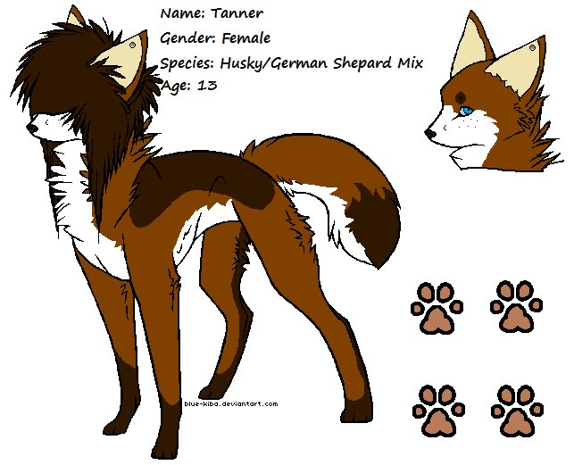 Tanner reference sheet.