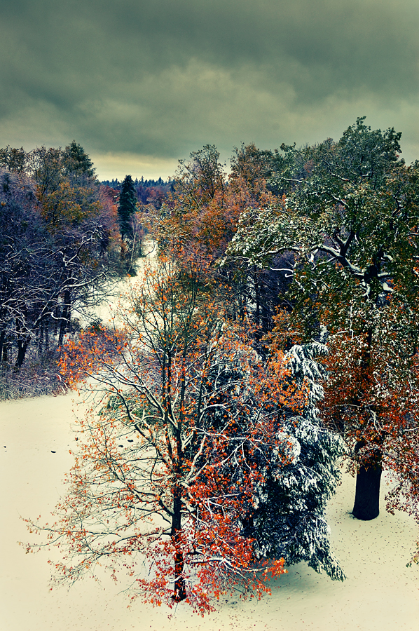 Bialowieza National Park