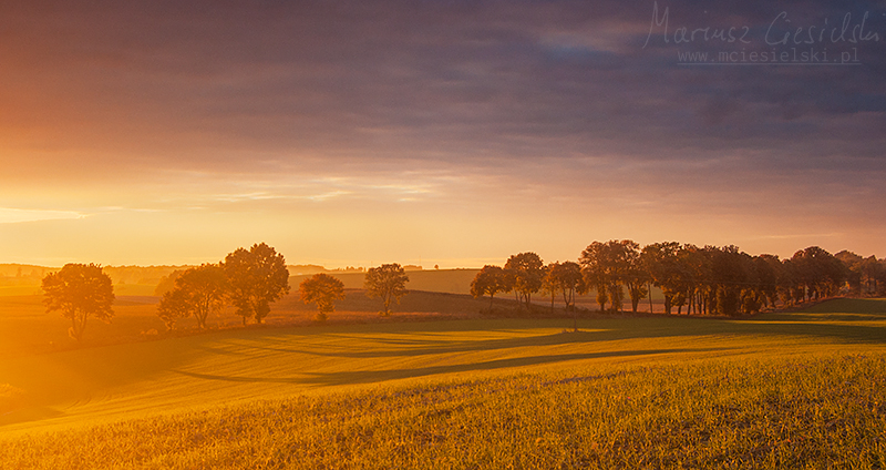 Warmia II