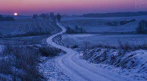 Frosty Morning