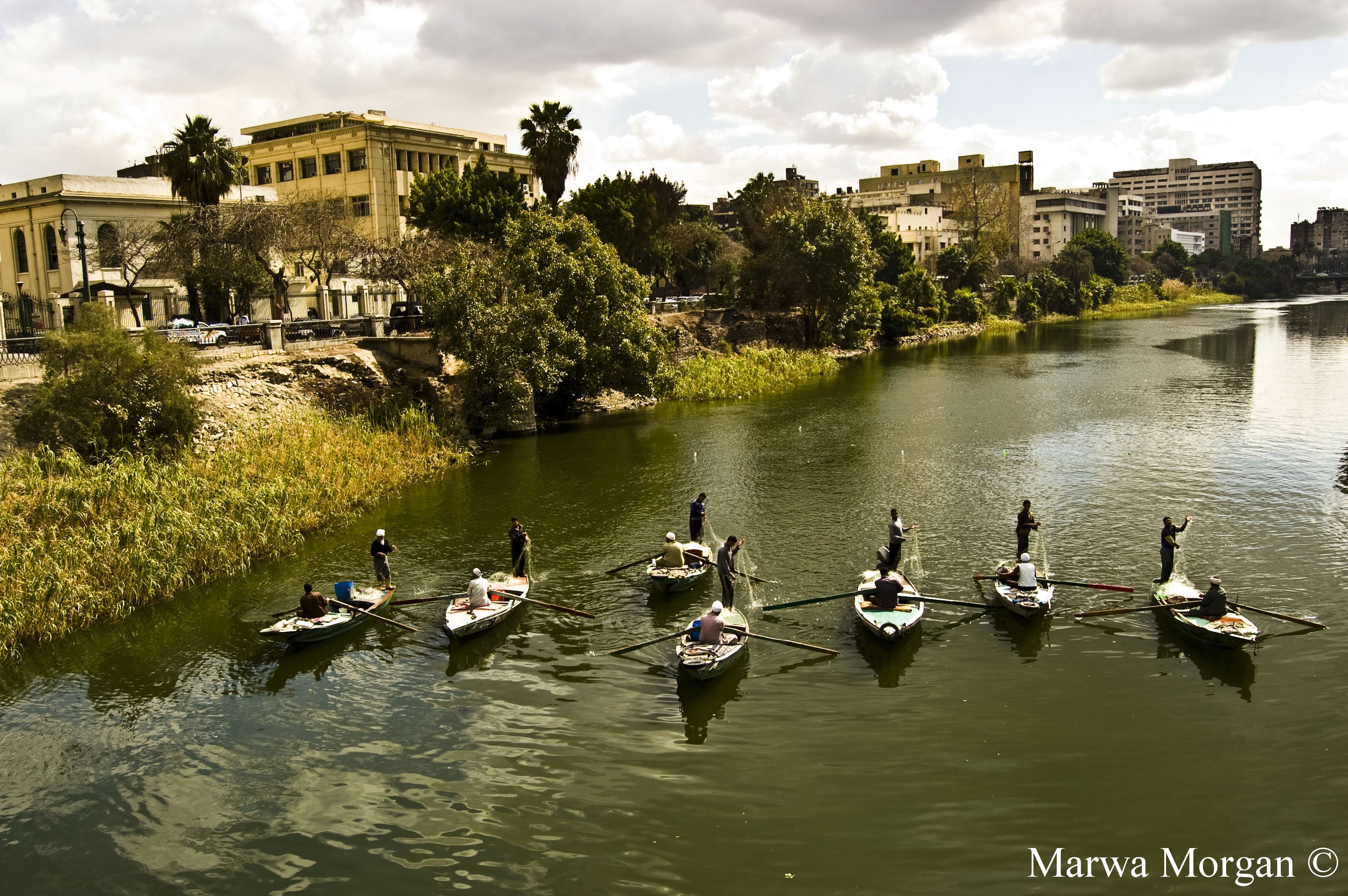 Rowing to a world of their own