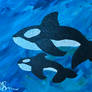 Two Orcas