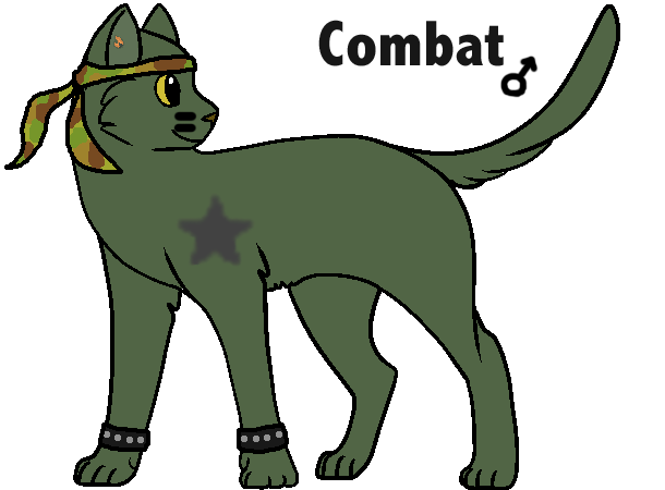 Combat The Rebel Cat