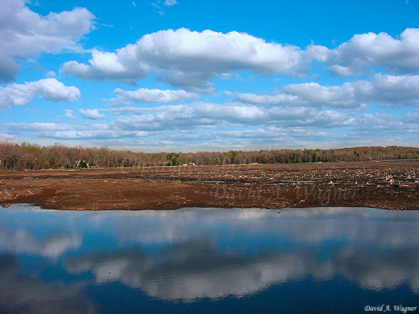 Once There Was a Lake