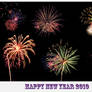 Happy New Year 2010