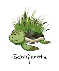 Schilfkroete