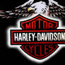 Harley and Davidson vs Eagle