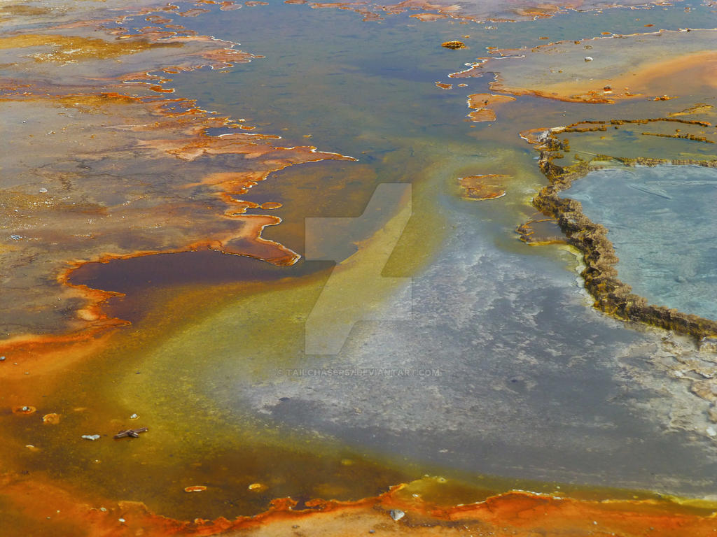 Yellowstone Colors by Tailchaser57 on DeviantArt