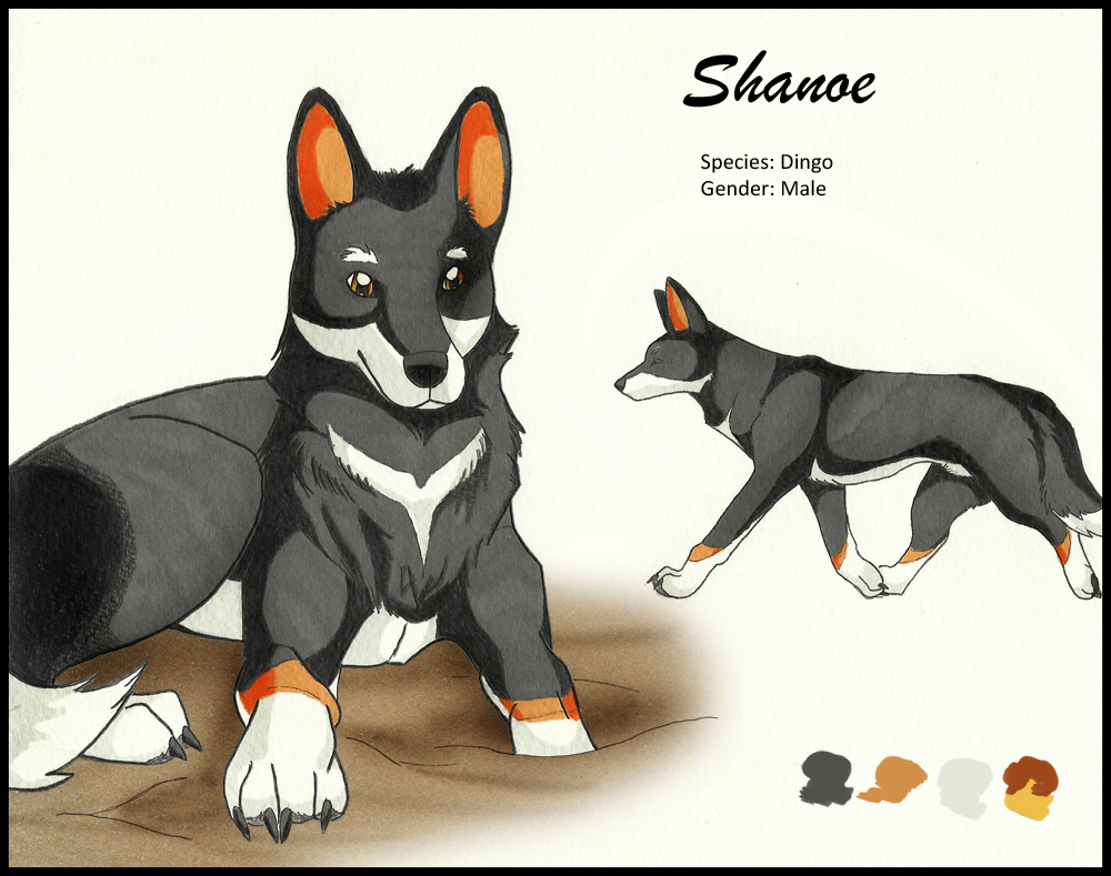 Shanoe - Character Design Competition