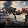 The Tutorial Horse