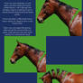 The Tutorial Horse- 3. Repositioning the horse