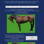 The Tutorial Horse- 6. Horse Prep