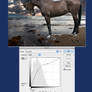 The Tutorial Horse- 7. Markings and recolouring