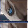 The Tutorial Horse- 9. Drawing the eye
