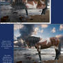 The Tutorial Horse- 12. Reflections and shadows