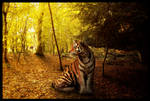 A wish upon the woodland tiger by Dark-Oak-Trails