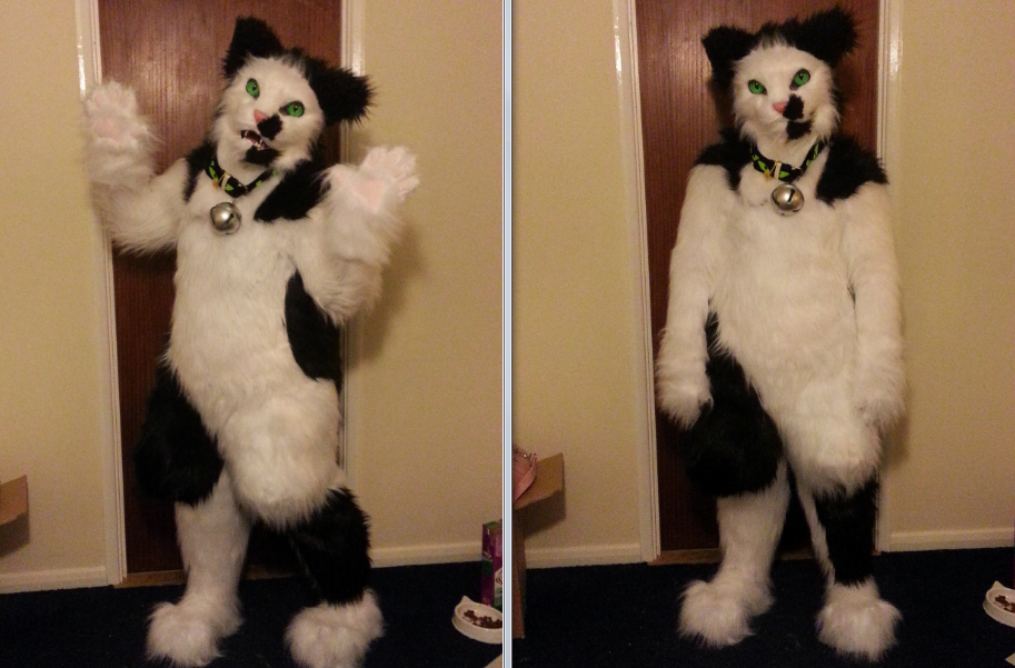 Jack the Cat - Fursuit by DarkieKun