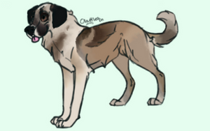 Canine Adopt Sold!