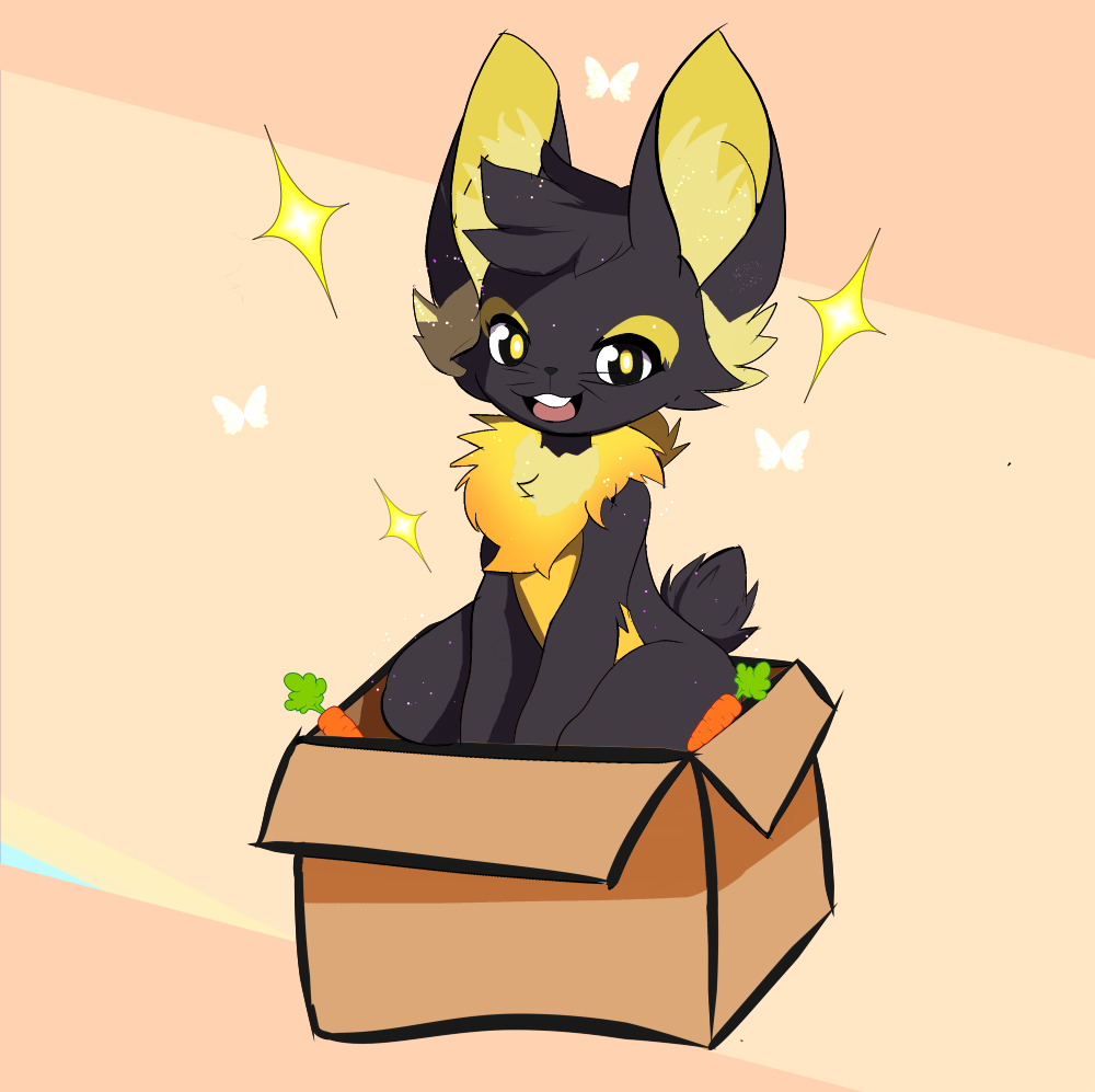 Bunny in a Box