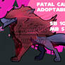 Adoptable Fatal Canine